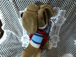 wrinkles dog red cord c